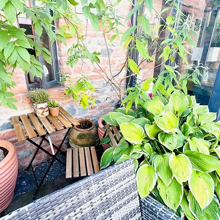 Проживание в семье Swallow Barn Пенрит