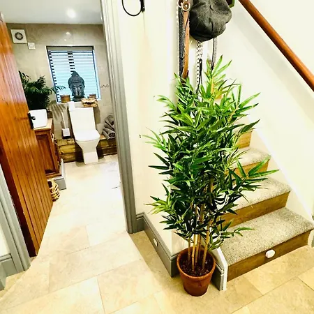 Swallow Barn Проживание в семье *